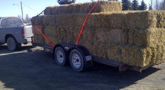 70bales delivered from Portage